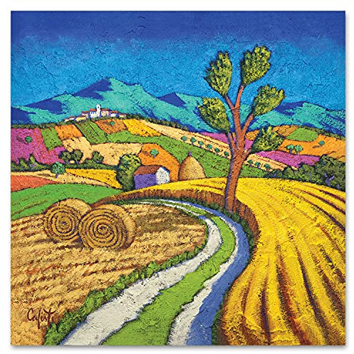 Giallobus - Quadro - Stefano Calisti - Vista collinare con strada - Vetro acrilico - 50x50 - Pronto da appendere - Quadri moderni per la casa