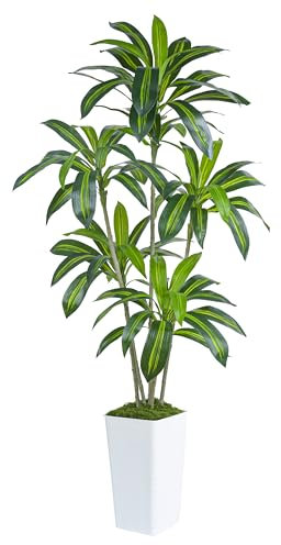 Artificial Dracaena Indoor 6FT Fake Tree with White Tall Planter, Tall Fake Floor Plant in Pot, Artificial Silk Plant for Home Decor Office Living Room Porch Patio Housewarming(5 Trunks 180CM)