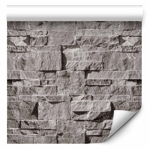 murando - Tapete selbstklebend 10m Wandtattoo dekorative Möbelfolie Dekorfolie Fotofolie Panel Wandaufkleber Wandposter Wandsticker - Steinoptik Steinwand f-C-0333-j-a
