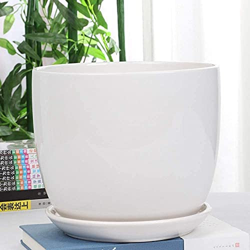 Pot De Fleur en Céramique Grand Blanc Simple Personnalité avec Plateau Fleur Plante Verte Planteur Conteneur Intérieur Extérieur pour Orchidée Herbe Fleur Succulent Cactus Home Office Balcon Décor