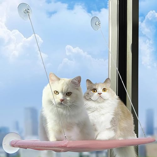 Cat Hammock Perch Bed - Durable Heavy Duty Suction Cups Resting Sunny Window Seat for Indoor Cats Sleeping - Holds Up to 30lbs (Pink) | Space Saving Window Seat for Cats Inside