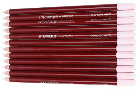 RiToEasysports Lápiz de Carbón Blanco, Juego de Dibujo Profesional para Resaltar Bocetos, 12 Piezas de Lápiz de Carbón Blanco para Artistas y Principiantes, Tilo + Material de Grafito