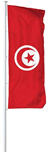 Vispronet® Nationalfahne 150x400 cm ✓ in Deutschland produziert ✓ versch. Materialien ✓ Hochformat (Primeflag, Türkei)