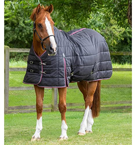 Stalldecke für Pferde Premier Equine Garissa 200 g