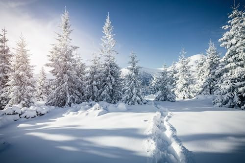 Acryl-Bild 120 x 80 cm: Frostiger Tag im verschneiten Nadelwald. Standort des Karpaten-Skiorts, Ukraine, Europa. Unglaubliche winterliche Tapeten. Weihn (158640989)