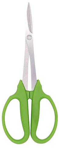 Ciseaux de Taille pour Plantes d'intérieur, Ciseaux à Raisin en Acier Inoxydable, Outils manuels de Taille de bonsaï de Branches de Plantes à Fleurs de Jardin