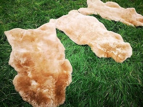 Provellus Echt Deutsche Merino Lammfell Schaffell Hellbraun Dichte Wolle Neu L - XXL (130-140 cm x 70-90 cm)