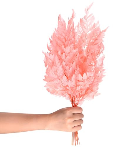 M METERXITY 10 Stück Farn, 15 Natürliche getrocknete Grünpflanzen mit Stielen für Hochzeitsgirlandensträuße / Heimparty / DIY-Handwerksdekorationen, getrocknete Pflanzen [Pink]