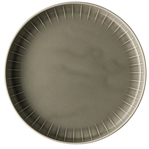 Arzberg Joyn Grau Gourmetteller flach 22 cm