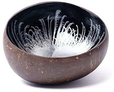 cocovibes Schlüsselschale Schmuckschale aus Kokosnuss Schalen mit Anti-Kipp-Ring. (Silber)