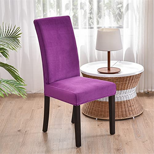 Morbuy Einfarbig Stuhlhussen Set Stretch Stuhlbezug für Esszimmerstühle, Samt Velvet Waschbarer Stuhlhussen Schwingstühle Stuhlüberzug für Haus Hotel Hochzeit Partys (6er Set,Violett)