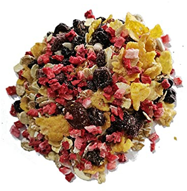 ERDBEER BIO MÜSLI I 5% gefriergetrocknete Frucht I ohne Zuckerzusatz (enthält von Natur aus Zucker) I Vegan I Haferflocken I Weinbeeren I 1000g