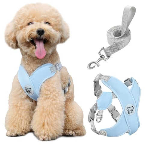 Pawaboo Set med liten hundsele och koppel, valpsele X-ram inget drag ingen kvävning, hundväst sele justerbar för små medelstora hundar, mjuk andningsbar husdjursele för promenadutflykt (M, blå)