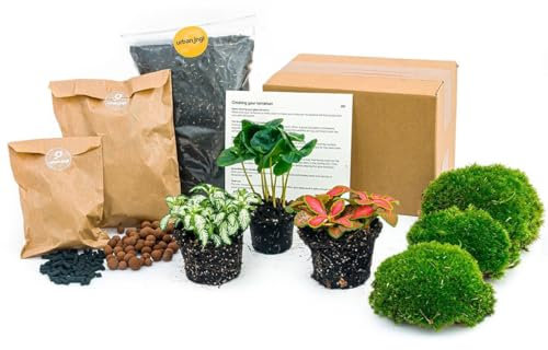 Exotenherz Green Your Bottle komplettes Set für Deinen Flaschengarten ohne Glas 3 Pflanzen (Kaffeepflanze + 2x Fittonia)