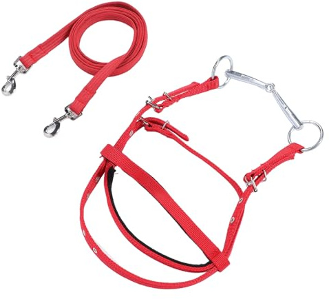 Rindad de Ruta de Brida de Caballo, Nylon Ajustable de Nylon Cabezal Puente de Brida Puta rindad ecológica con Hebilla de Acero Inoxidable para Montar en Sendero (Rojo S)