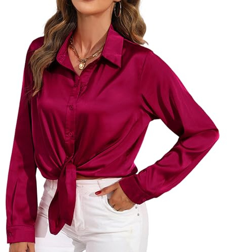 HANERDUN Blusas Elegantes para Mujer Camisas Casuales de Manga Larga de Satén Camisetas de Colores Lisos Blusas para Fiestas de Negocios
