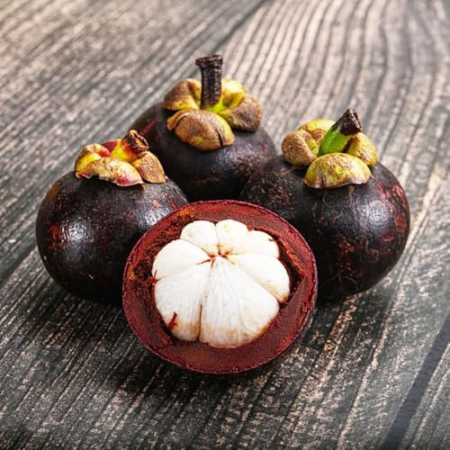 30samen mangostan - pflanzensamen deko bohnenkraut exotische exotische balkonpflanzen winterhart, bio Mangostane