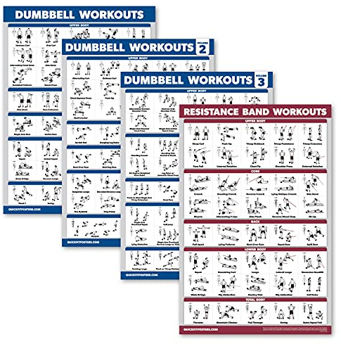 Palace Learning 4 Pack - Dumbbell Workout Posters Volume 1, 2 & 3 + Resistance Bands Exercise Chart - Set of 4 Posters