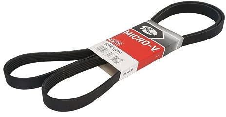 GATES 6PK1875 Cinghia servizi Cinghia Poly-V Cinghia alternatore Cinghia dei servizi