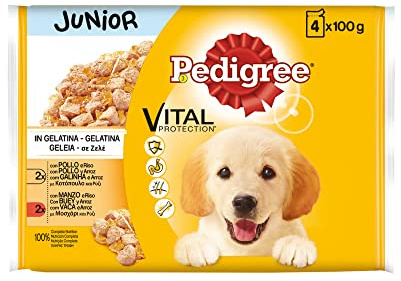 Pedigree Våtfoder för hundar Junior, smak av kyckling och oxe med geléris, multipack (13 förpackningar x 4 påsar x 100 g)