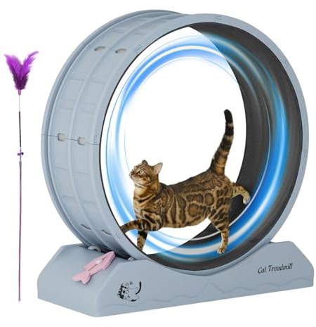 Laufrad für Katzen | Fitnessgerät für Kätzchen – großer Katzenradtrainer, leise, Sicherheit, Laufrad für den Innenbereich, Sicherheits-Kätzchenrollmatte mit Teaser