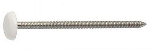 100X Drahtstifte m. Ringen Und Plastik Kopf 2.5x50 Edelstahl A4