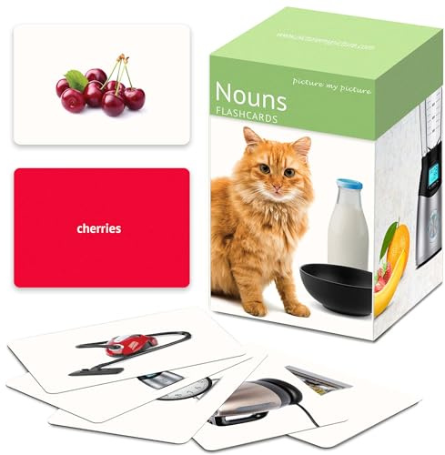 Picture My Picture Nouns Flash Card Set – Speech Therapy Tool for Vocabulary, Communication & Thinking, Scratch-Resistant with Activity Guide, Suitable for Education, ESL & ABA – Set of 200