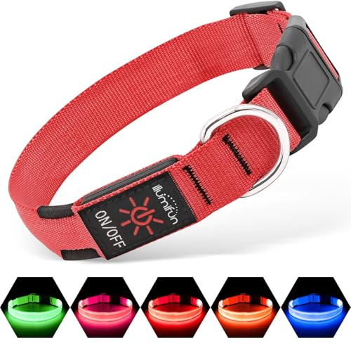 Illumifun Leuchthalsband Hund Aufladbar LED Hundehalsband Wasserdichtes Leuchthalsband für kleine und große Hunde, Hundelichter für nächtliche Spaziergänge (Rot, M)