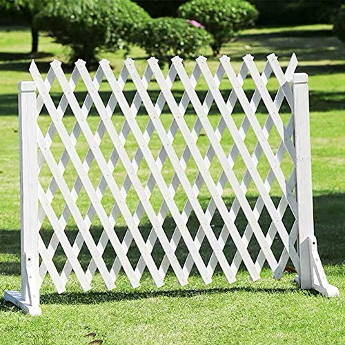 JIANFEI - Recinzione da giardino espandibile in legno, decorativa, ringhiera per esterni, 2 colori, diverse dimensioni (B 70 x 160 cm), ideale per paesaggistica e privacy