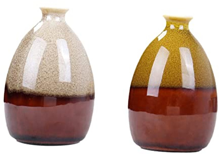 HOMOCONO Hydroponische Vase 2 Stück aus Weißer Keramik Kleine Tischvase für Blumen und Pflanzen Dekorative Vasenornamente im Einfachen Künstlerischen Design für Wohnraum