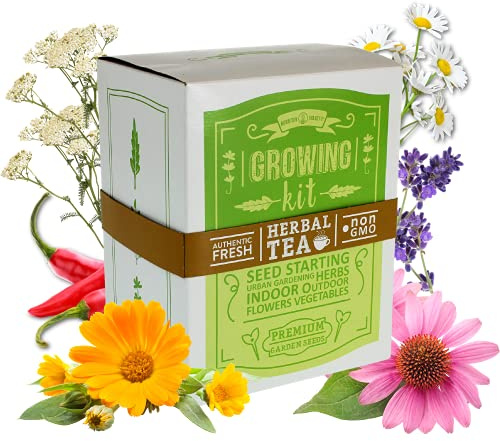 Medicinal & Herbal Tea Indoor Herb Garden Starter Kit - Basic Herb Seeds for Planting - 6 Non-GMO Varieties - Seeds Include Hot Pepper, Yarrow, Echinacea, Calendula, Chamomile, and Lavender