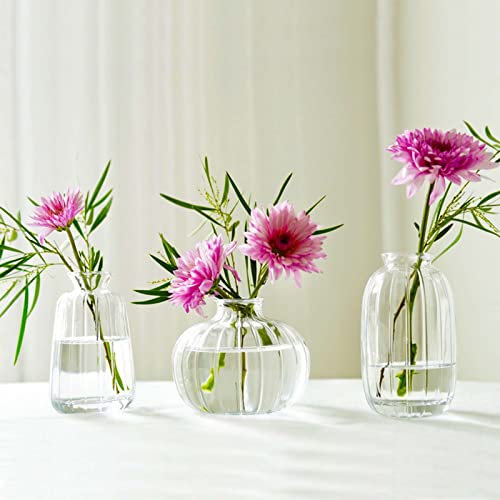 3pcs Vase à Fleurs en Verre, Vase decoratif Design Transparent, Décoration pour Centre de Table Mariage champetre Boheme, Bapteme, Anniversaire, Cadeau fête des mères (Transparent)