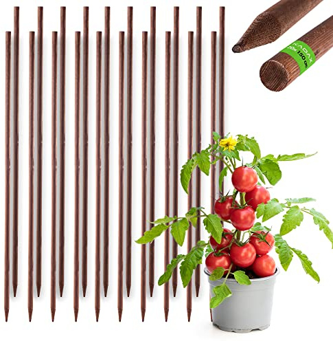 KADAX Rankhilfe aus Holz, imprägnierte Pflanzstäbe, Kletterpflanzen-Stab, wetterfeste Rankstange, Blumenstab, Rankgitter, Holzpflöcke, Pfähle (20, 28mm x 150cm)