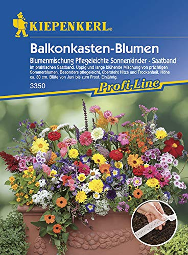 Kiepenkerl 3350 Balkonkasten-Blumen Blumenmischung Pflegeleichte Sonnenkinder (Saatband) (Blumenmischungsamen)