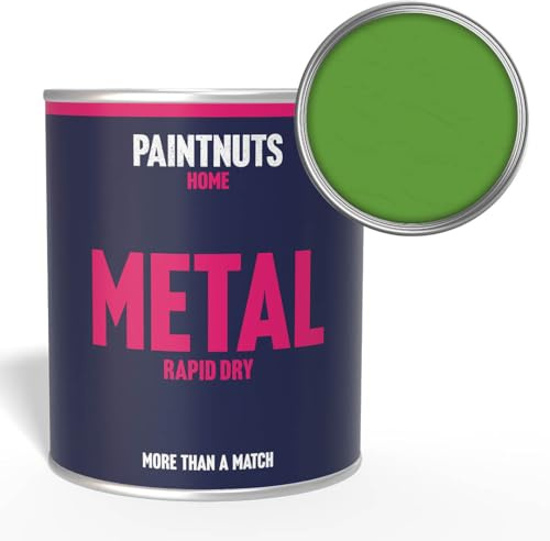 Paintnuts Light Green (RAL-6018) Rapid Dry Metal Paint, Satin Finish 250ml