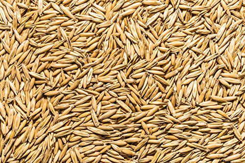Thunder Acres Non GMO, Certified Organic, Oat Seed (2 lb.)