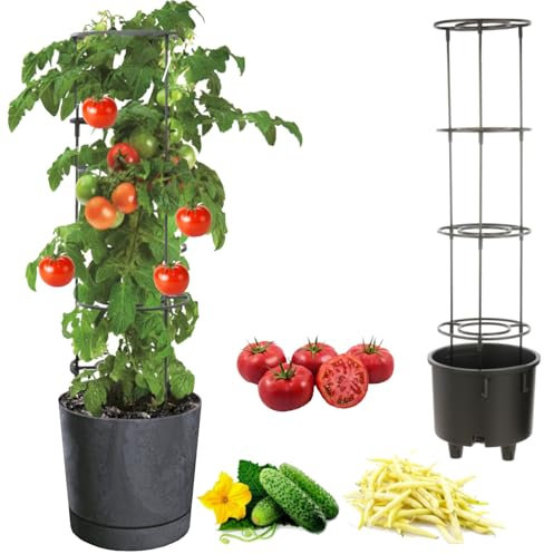 botle Pot à tomates - Pot pour la culture de plantes grimpantes - Pot à légumes - Diamètre : 30 cm - En plastique - Anthracite - Avec insert avec cadre haut