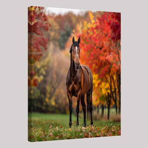 Herbst Wandbild Leinwanddruck 70 x 50 cm Tier Brownes Pferd Poster Gerahmt Aufhängefertig Wanddeko für Wohnzimmer Schlafzimmer Badezimmer