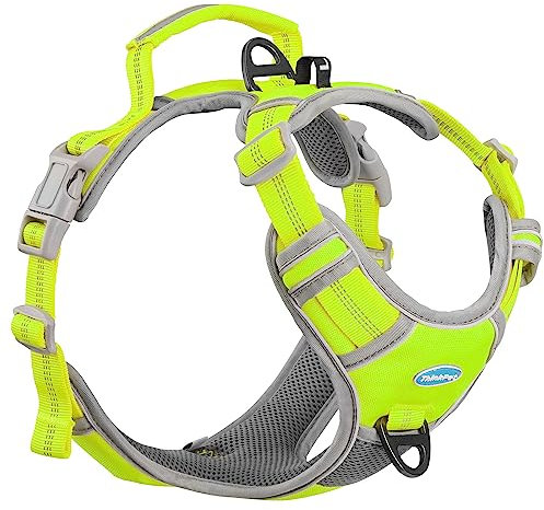 ThinkPet Anti Zug Hundegeschirr mit Griff - Verstellbar ohne Würgen, Reflektierend, Atmungsaktiv, Gepolstert (S, Leuchtendes Grün)