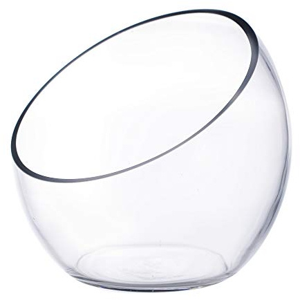 CYS EXCEL Glass Slant Cut Bubble Bowl (H-8 W-9) Clear Flower Vase Globe Bowl Terrarium Round Planter Decorative Centerpiece