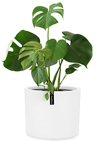 Fox&Fern Übertopf M - Blumentopf Gross inkl. Wasserspeicher - Blumentopf hoch 24cm - Übertöpfe für Zimmerpflanzen - 25cm Durchmesser - Pflanzentöpfe groß - Plant Pot - weiß