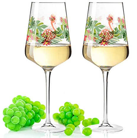 Leonardo Puccini Weinglas mit UV-Druck - Flamingo Design - Geschenk für Weingenießer zum Grillfest Sommerfest - Sommer Geschenk mit Flamingo Vogel & Dschungel Motiv für Sie & Ihn