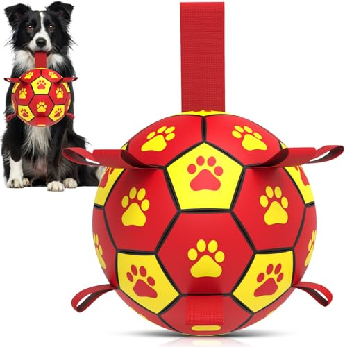 HETOO Dog Toys, Interactive Dog Football Toys with Webbing, Durable Dog Balls for Small Medium Breed Dog Water Toy Indoor & Outdoor, Gift for Dogs (6 Inch)
