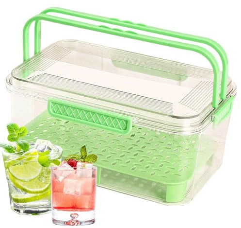 Nixiara Contenitore per Alimenti con Coperchio, Portavivande per Esterno con Manico, Portavivande Riusabile per Cucina, Picnic, Campeggio, Spuntini, Frutta e Sandwich
