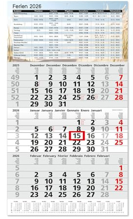 Timr 3-Monatskalender 2026 Jahresübersicht - 53 cm - International mehrsprachig D/GB/F/I/E/NL - Wandkalender mit Schieber - Motiv Ferientermine I tr345