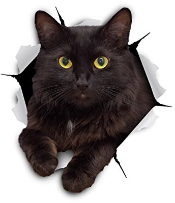 Winston & Bear 3D Black Kitten Wall Decals - 2 Pack - Vinyl Stickers for Bedroom, Fridge, Toilet and Car - Retail Packaged