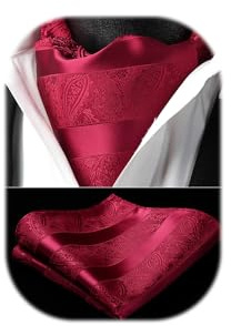 HISDERN Herrkravatt Ascot, Blommig kravatt, Paisley-mönster, Bröllopsslipsar, Kravatter, Näsduk, Jacquardvävd Ascot och fyrkantig ficknäsduk.