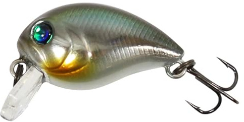 SEABUZZ Wobbler Chub Bug 2,4g 2,7cm Flachläufer 0,3m Hecht Zander Forelle | Barsch Wels Angelköder mit Drillingshaken - Raubfisch Angeln Köder - Kunstköder - Forellenköder - Fishing Lures
