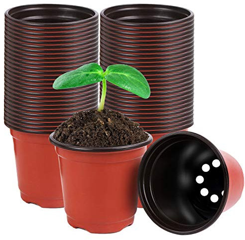 Augshy 40 Pcs 4 Plastic Plant Nursery Seed Starting Red Pots for Succulent Seedling Cutting Transplanting Indoor Outdorr