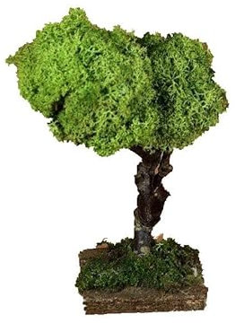 Holyhome Krippenbaum aus Lichene H15 mit Holzsockel, DIY Krippe, Handgefertigte Fertigstellung, Green